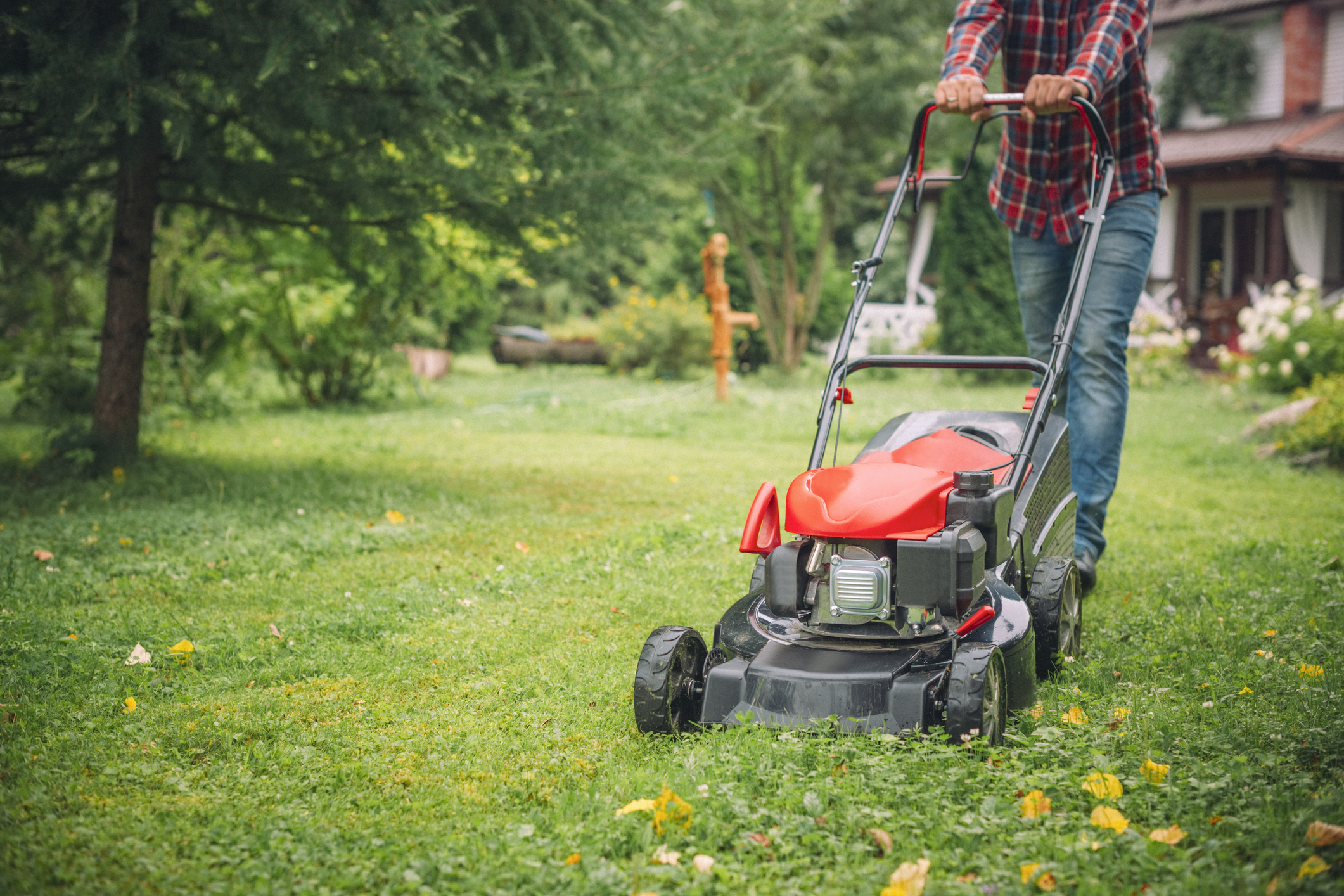 Professional Lawn Mowing Services in New Zealand: The Secret to a Healthy, Beautiful Lawn