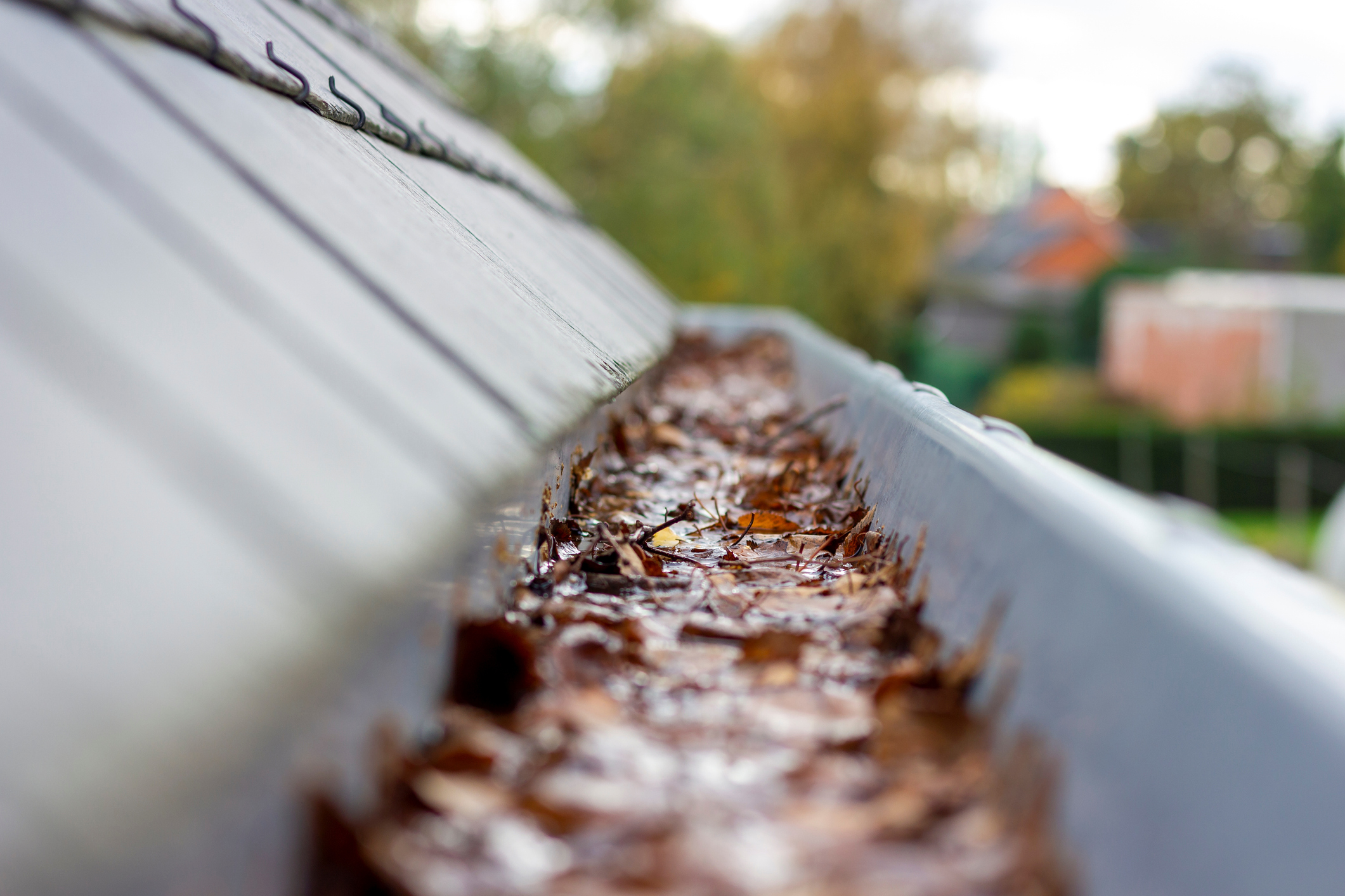 Gutter Cleaning: Why Clean Gutters Protect Your Home and Save You Thousands