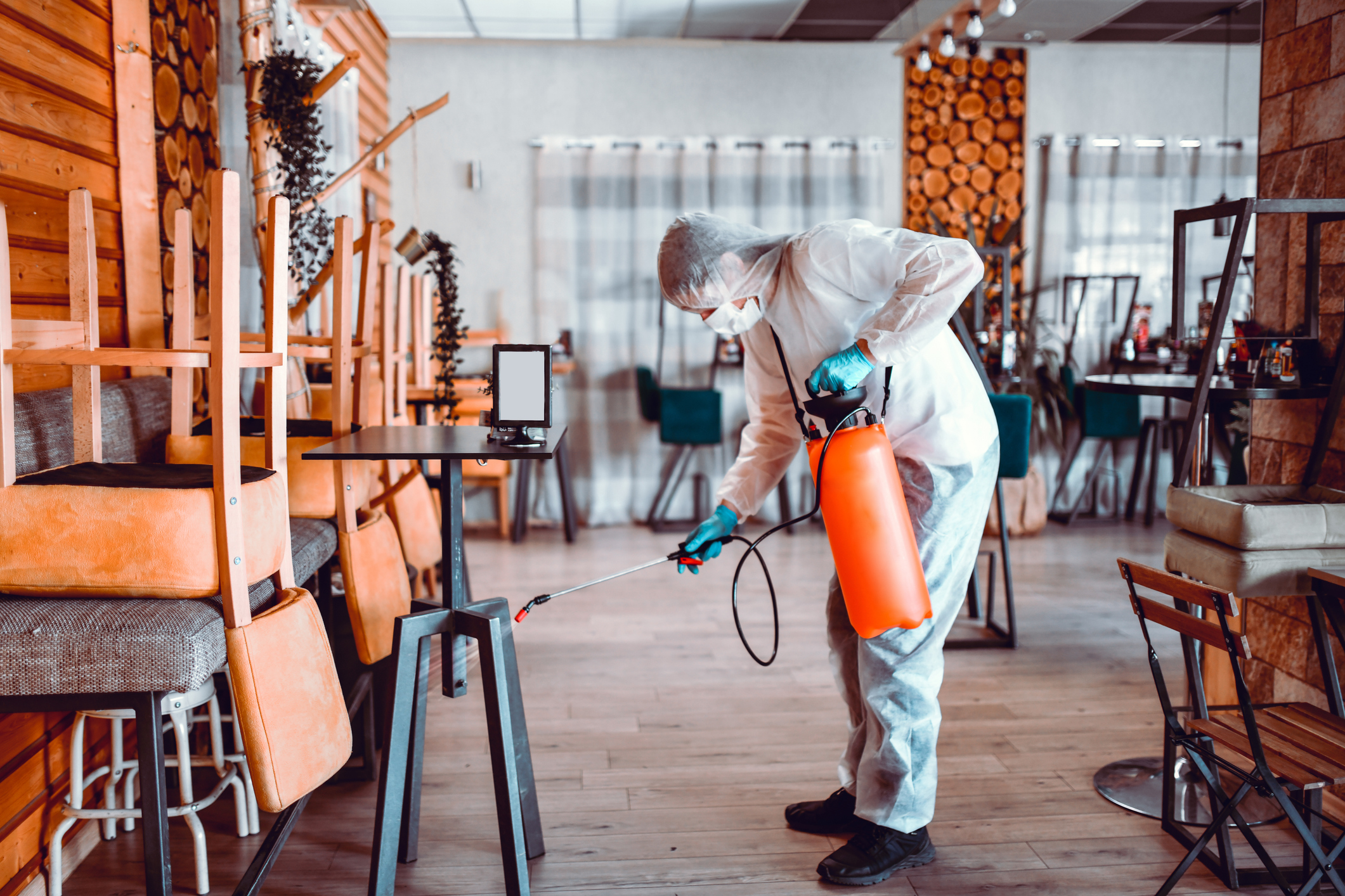 Professional Pest Control Services in New Zealand | Safe, Effective & Approved Handler Solutions