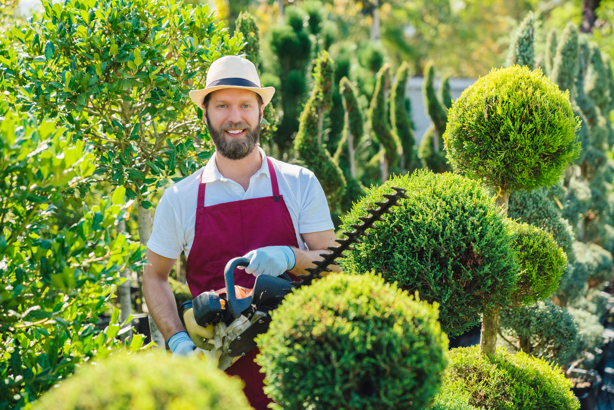 Professional Arborist Services in New Zealand: Why Hiring a Qualified Arborist Protects Your Trees, Property & Family